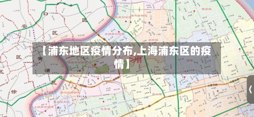 【浦东地区疫情分布,上海浦东区的疫情】-第2张图片