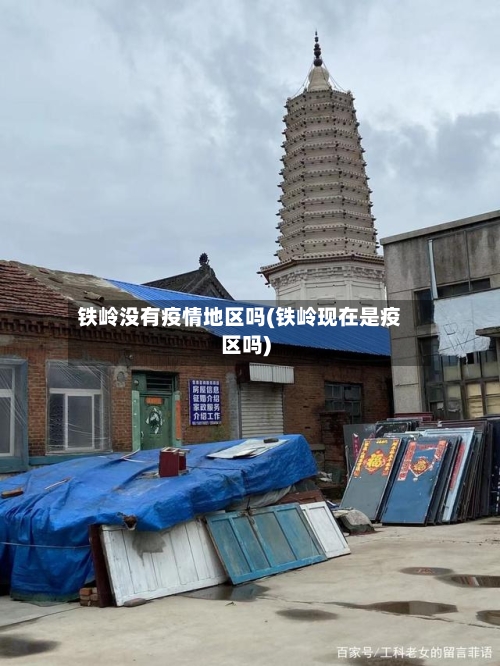 铁岭没有疫情地区吗(铁岭现在是疫区吗)-第3张图片