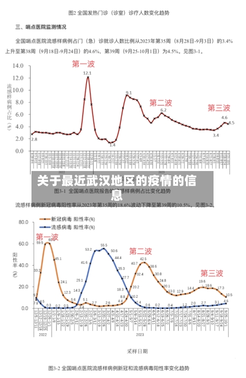 关于最近武汉地区的疫情的信息