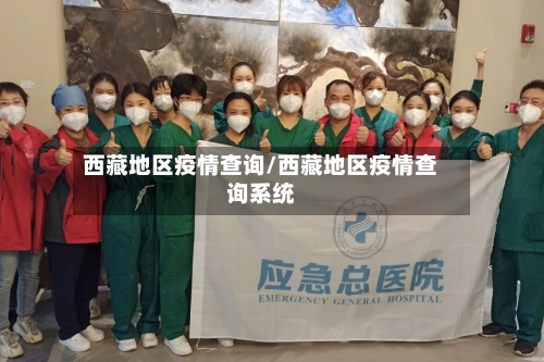 西藏地区疫情查询/西藏地区疫情查询系统