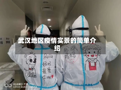 武汉地区疫情实景的简单介绍-第2张图片