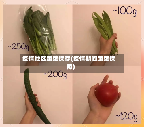 疫情地区蔬菜保存(疫情期间蔬菜保障)-第3张图片