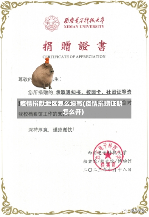 疫情捐献地区怎么填写(疫情捐赠证明怎么开)-第3张图片