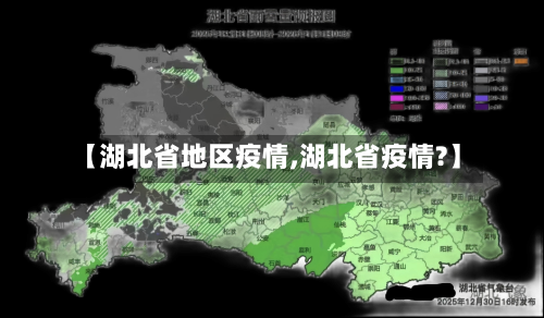 【湖北省地区疫情,湖北省疫情?】-第2张图片