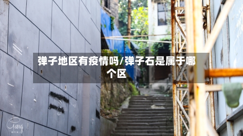 弹子地区有疫情吗/弹子石是属于哪个区