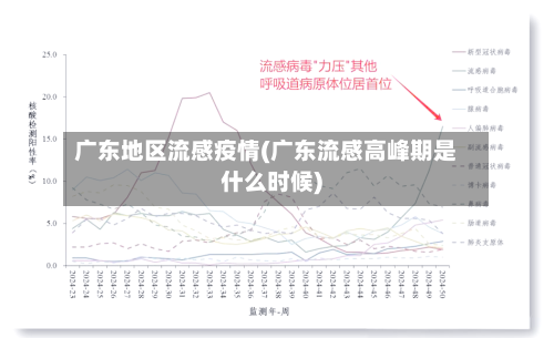 广东地区流感疫情(广东流感高峰期是什么时候)-第3张图片