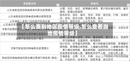 【怎么查到地区疫情等级,怎么查看当地疫情等级】