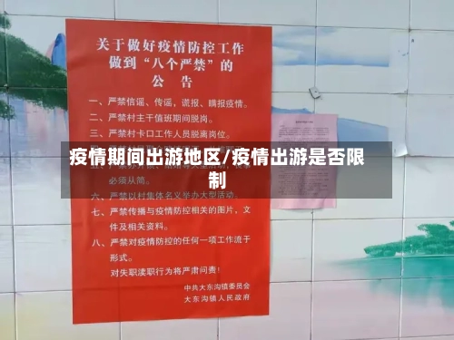 疫情期间出游地区/疫情出游是否限制