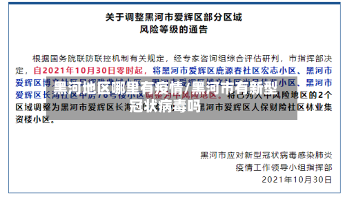 黑河地区哪里有疫情/黑河市有新型冠状病毒吗