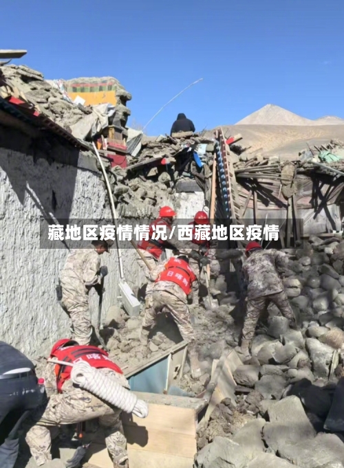 藏地区疫情情况/西藏地区疫情