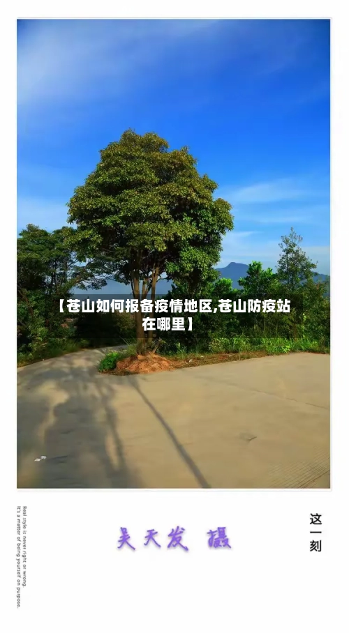 【苍山如何报备疫情地区,苍山防疫站在哪里】