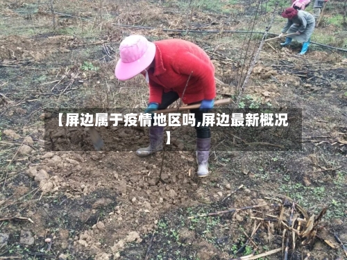 【屏边属于疫情地区吗,屏边最新概况】-第2张图片