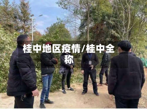 桂中地区疫情/桂中全称-第2张图片