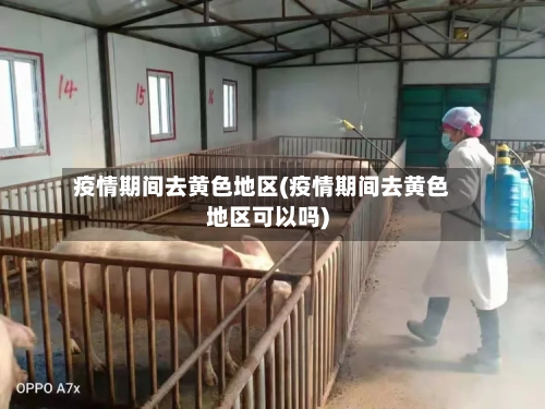 疫情期间去黄色地区(疫情期间去黄色地区可以吗)-第2张图片