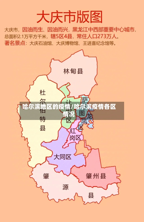 哈尔滨地区的疫情/哈尔滨疫情各区情况