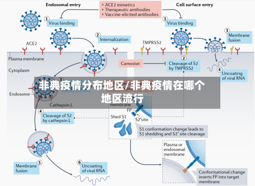非典疫情分布地区/非典疫情在哪个地区流行-第2张图片