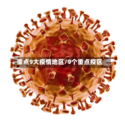 重点9大疫情地区/9个重点疫区-第2张图片