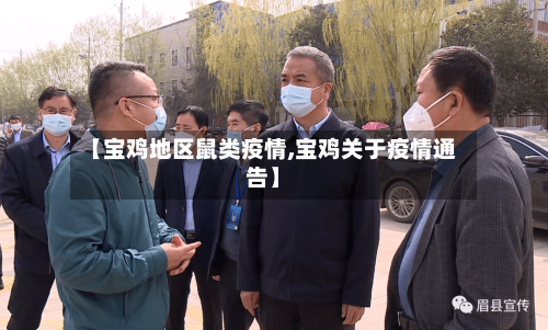【宝鸡地区鼠类疫情,宝鸡关于疫情通告】