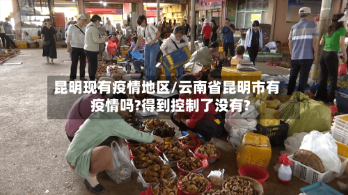 昆明现有疫情地区/云南省昆明市有疫情吗?得到控制了没有?-第3张图片