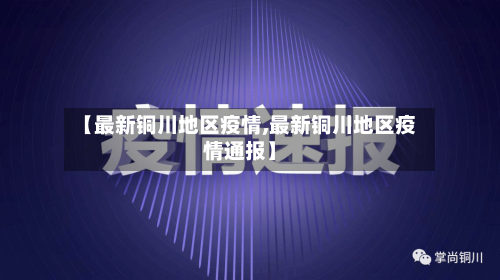 【最新铜川地区疫情,最新铜川地区疫情通报】-第2张图片
