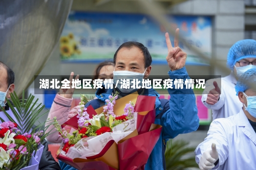 湖北全地区疫情/湖北地区疫情情况-第2张图片