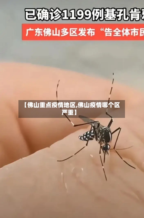 【佛山重点疫情地区,佛山疫情哪个区严重】-第2张图片