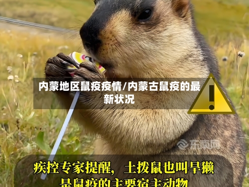 内蒙地区鼠疫疫情/内蒙古鼠疫的最新状况