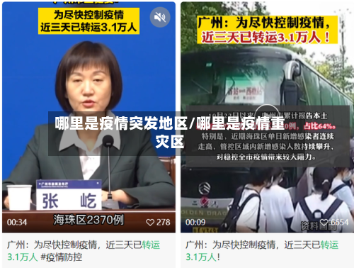 哪里是疫情突发地区/哪里是疫情重灾区