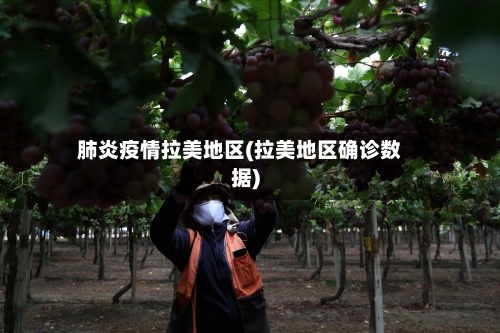 肺炎疫情拉美地区(拉美地区确诊数据)